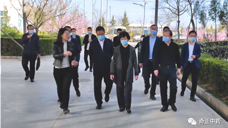 甘肅省副省長何偉一行蒞臨隴西奇正調(diào)研指導