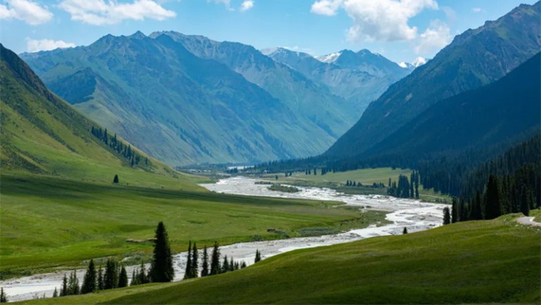 公司治理獲高度認(rèn)可！奇正藏藥入選中上協(xié)“最佳實(shí)踐案例”